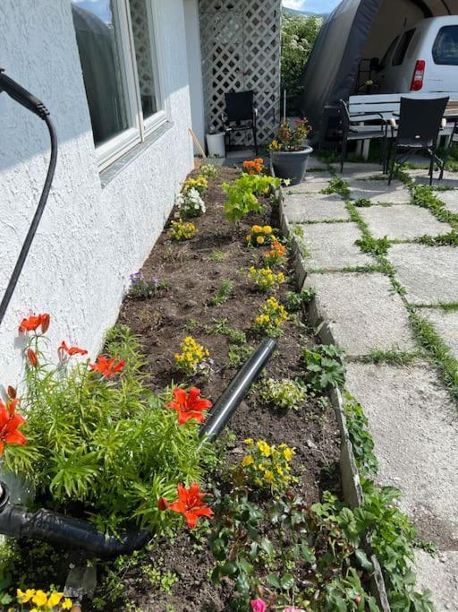 My Sweet Home Fauske Exterior foto